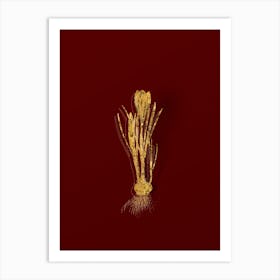Vintage Spring Crocus Botanical in Gold on Red n.0152 Art Print