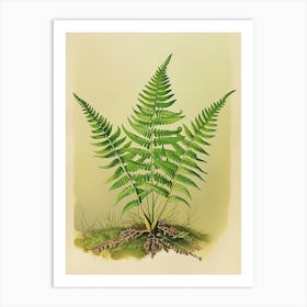 Vintage Illustration Button Fern 2 Art Print