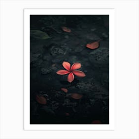 Flower Hd Wallpaper Art Print