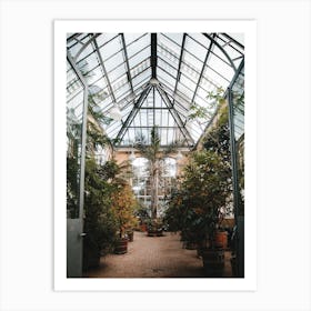 Palm tree in the greenhouse Art Print
