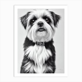 Affenpinscher 2 B&W Pencil Dog Art Print