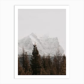 Rustic Forest Art Print