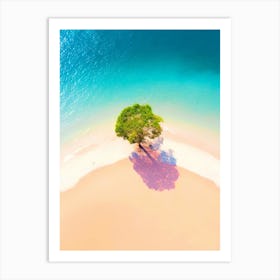 Lone Tree On The Beach Art Print