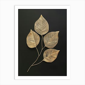 Three Leaves On A Black Surface Art Print