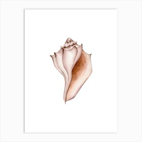 Watercolor Seashell 7 Art Print