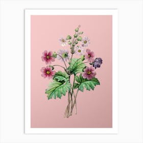 Vintage The Chinese Primrose Botanical on Soft Pink n.0289 Art Print