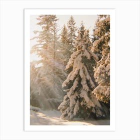 Sunny Winter Forest Art Print