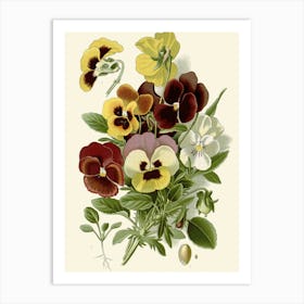 Pansies 2 Art Print