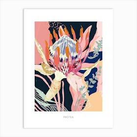 Colourful Flower Illustration Poster Protea 4 Art Print