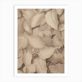 Neutral Autumn Leaf Art Print