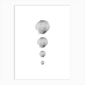 Seashell Collage Art Print