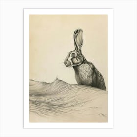 Flemish Giant Rabbit Drawing 3 Art Print
