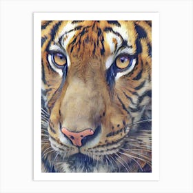 Tiger Tiger Burning Bright Art Print