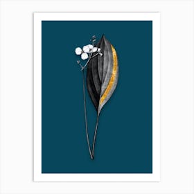 Vintage Bulltongue Arrowhead Black and White Gold Leaf Floral Art on Teal Blue n.1180 Art Print