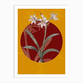 Vintage Botanical Amaryllis on Circle Red on Yellow n.0055 Art Print