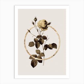Gold Ring Provence Rose Glitter Botanical Illustration n.0143 Art Print