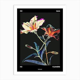 No Rain No Flowers Poster Portulaca 1 Art Print