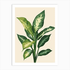 Dieffenbachia Plant Minimalist Illustration 2 Art Print