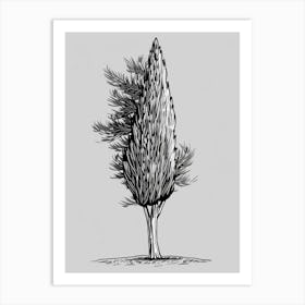 Cypress Tree Minimalistic Drawing 4 Art Print