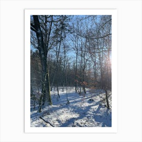 Winter In The Woods 14 Art Print