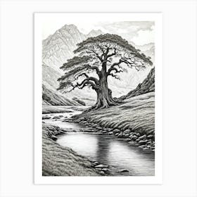 highly detailed pencil sketch of oak tree next to stream, mountain background 2 Art Print