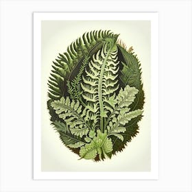 Shield Fern Wildflower Vintage Botanical 1 Art Print