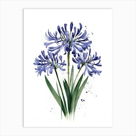 Blue Hyacinths 1 Art Print