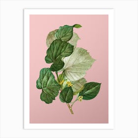 Vintage Linden Tree Branch Botanical on Soft Pink Art Print