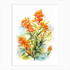 Butterfly Weed Wildflower With Sunset In Watercolor Style (4) Art Print