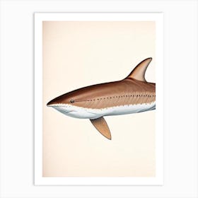 Brown Smoothhound Shark Vintage Art Print