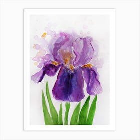Purple Iris Watercolor Painting Art Print
