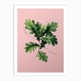 Vintage English Oak Botanical on Soft Pink n.0583 Art Print