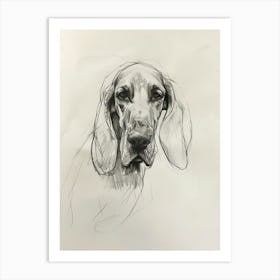 Bloodhound Dog Charcoal Line 1 Art Print