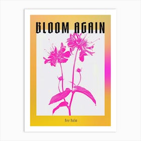 Hot Pink Bee Balm 1 Poster Art Print