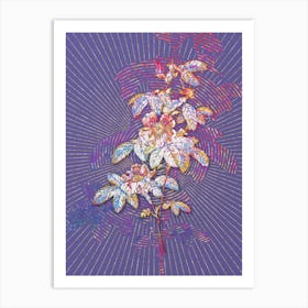 Geometric Single May Rose Mosaic Botanical Art on Veri Peri n.0115 Art Print