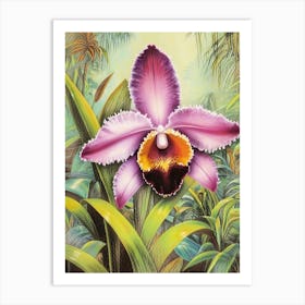 Orchid In The Jungle 1 Art Print