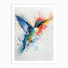 Hummingbird Colourful Watercolour 4 Art Print