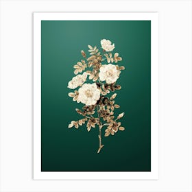 Gold Botanical White Burnet Roses on Dark Spring Green n.0331 Art Print
