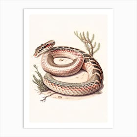 Rattlesnake Vintage Art Print