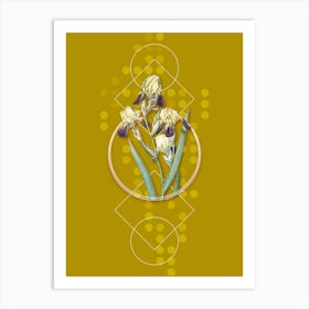 Vintage Elder Scented Iris Botanical with Geometric Line Motif and Dot Pattern Art Print