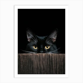 Black Cat Peeking Over Wooden Fence Art Print