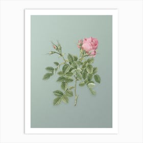 Vintage Dwarf Damask Rose Botanical Art on Mint Green Art Print