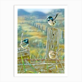 Three Birds Art Print