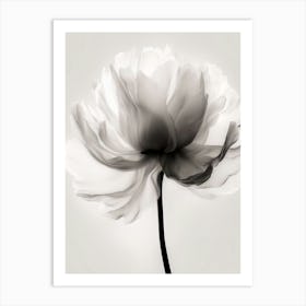 Black And White Flower 2 Art Print