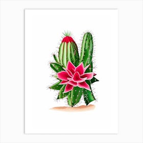 Christmas Cactus Marker Art Art Print