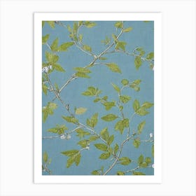 Silver Linden tree Vintage Botanical Art Print