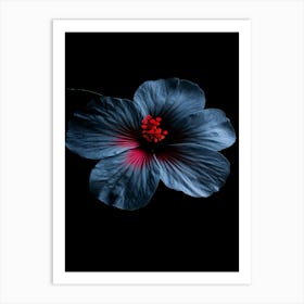 Hibiscus Flower 12 Art Print