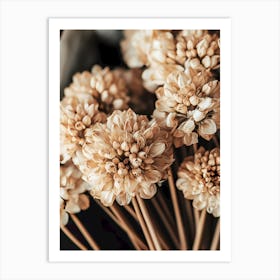 Bouquet Of Dried Flowers Art Print