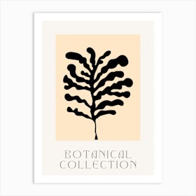 Bohemian Botanical Collection Art Print