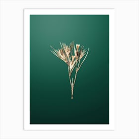 Gold Botanical Witsenia Maura on Dark Spring Green n.0645 Art Print
